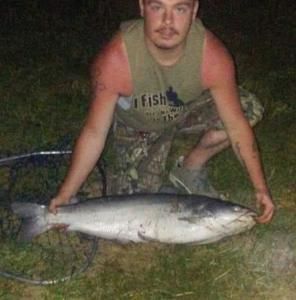 Meet your Posher, Donald